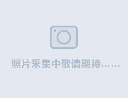 剛玉仿石漆第九期培訓(xùn)迎來55名學(xué)員